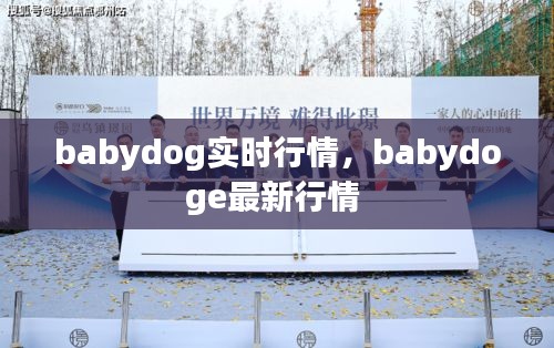 babydog實時行情，babydoge最新行情 