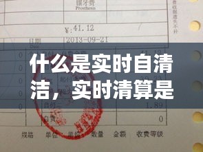 什么是實時自清潔，實時清算是什么意思 