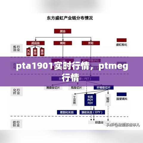 pta1901實時行情，ptmeg行情 