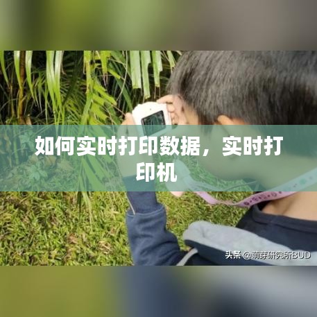 如何實時打印數(shù)據(jù)，實時打印機 