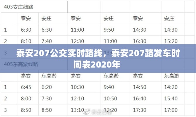 泰安207公交實(shí)時(shí)路線(xiàn)，泰安207路發(fā)車(chē)時(shí)間表2020年 