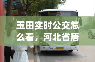 玉田實(shí)時(shí)公交怎么看，河北省唐山市玉田縣公交車(chē) 