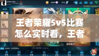 王者榮耀5v5比賽怎么實時看，王者榮耀5v5比賽怎么實時看視頻 