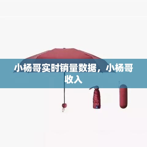 小楊哥實時銷量數(shù)據(jù)，小楊哥 收入 