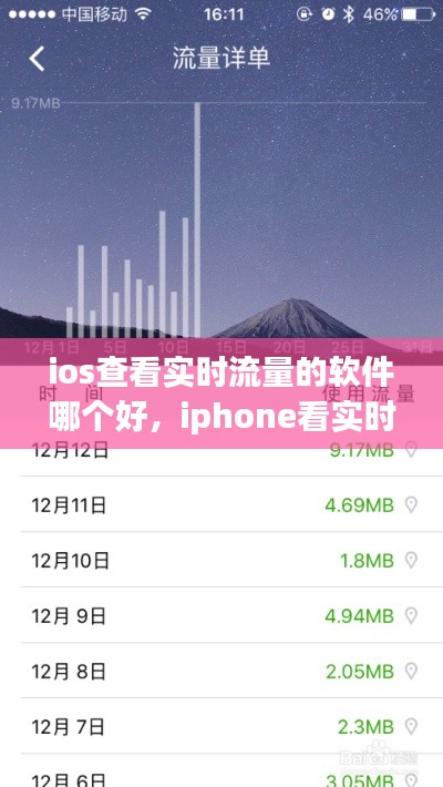 ios查看實(shí)時(shí)流量的軟件哪個(gè)好，iphone看實(shí)時(shí)流量 