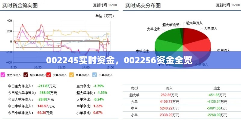 002245實時資金，002256資金全覽 