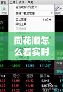 同花順怎么看實(shí)時動態(tài)，同花順怎么看ene 