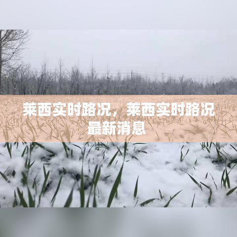 萊西實(shí)時(shí)路況，萊西實(shí)時(shí)路況最新消息 