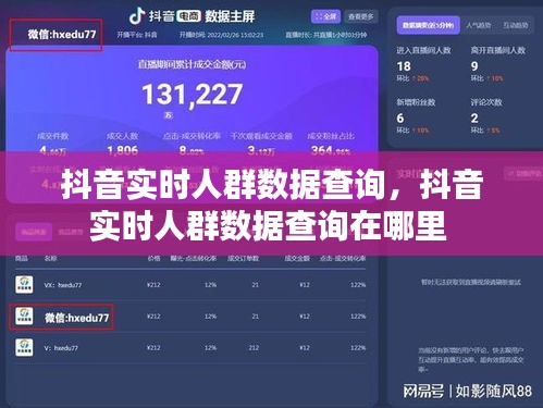 抖音實時人群數(shù)據(jù)查詢，抖音實時人群數(shù)據(jù)查詢在哪里 