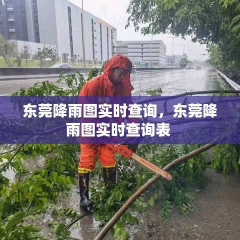 東莞降雨圖實時查詢，東莞降雨圖實時查詢表 