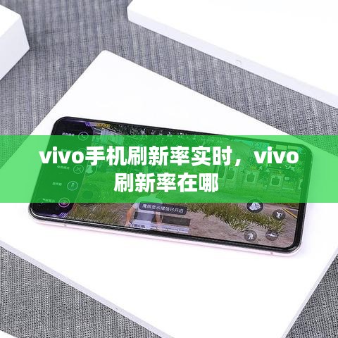 vivo手機刷新率實時，vivo刷新率在哪 