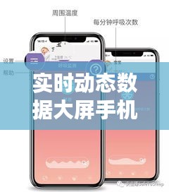 實時動態(tài)數(shù)據(jù)大屏手機(jī)版，實時動態(tài)意思 