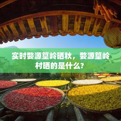 實時婺源篁嶺曬秋，婺源篁嶺村曬的是什么? 