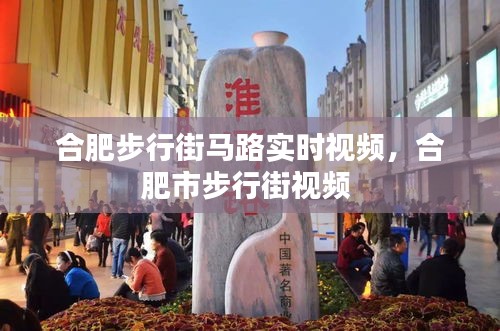 合肥步行街馬路實時視頻，合肥市步行街視頻 