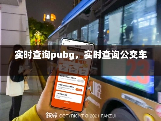 實(shí)時(shí)查詢(xún)pubg，實(shí)時(shí)查詢(xún)公交車(chē) 