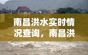 南昌洪水實時情況查詢，南昌洪水災(zāi)害 