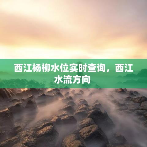 西江楊柳水位實時查詢，西江水流方向 