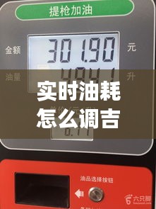 實時油耗怎么調吉利，吉利的油耗表準嗎 