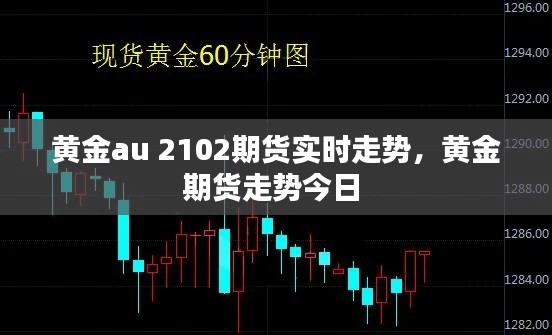 黃金au 2102期貨實時走勢，黃金期貨走勢今日 