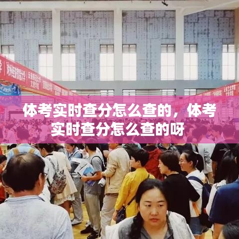 體考實(shí)時查分怎么查的，體考實(shí)時查分怎么查的呀 