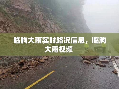 臨朐大雨實(shí)時(shí)路況信息，臨朐大雨視頻 