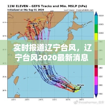 實時報道遼寧臺風，遼寧臺風2020最新消息 