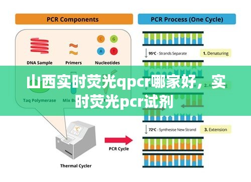 山西實(shí)時(shí)熒光qpcr哪家好，實(shí)時(shí)熒光pcr試劑 