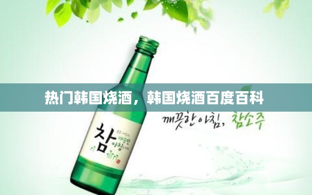 熱門韓國燒酒，韓國燒酒百度百科 