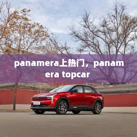 panamera上熱門，panamera topcar 