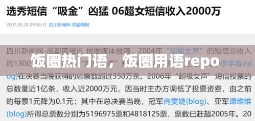 飯圈熱門語，飯圈用語repo 