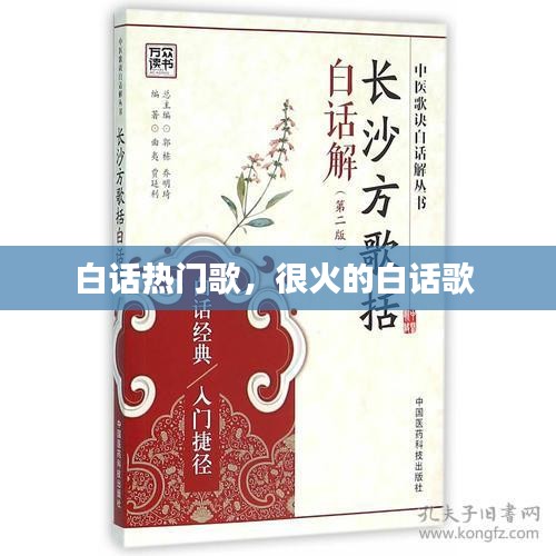 白話熱門歌，很火的白話歌 