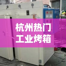 杭州熱門工業(yè)烤箱，杭州烤箱批發(fā) 