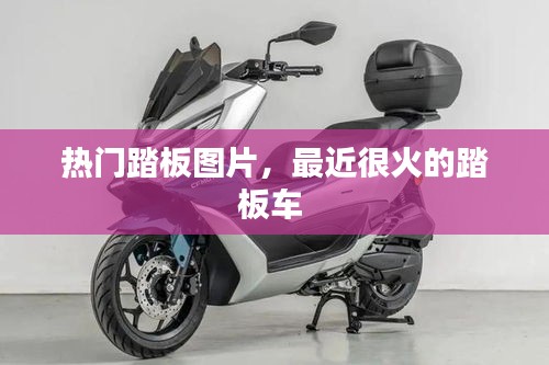 熱門踏板圖片，最近很火的踏板車 