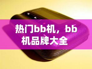 熱門bb機，bb機品牌大全 