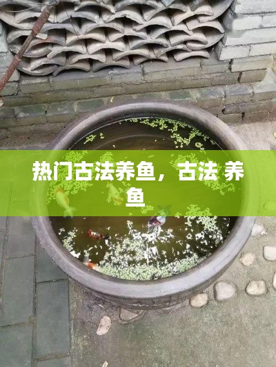 熱門古法養(yǎng)魚，古法 養(yǎng)魚 