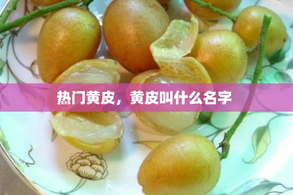 熱門黃皮，黃皮叫什么名字 