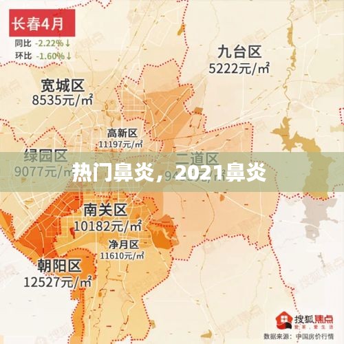 熱門(mén)鼻炎，2021鼻炎 