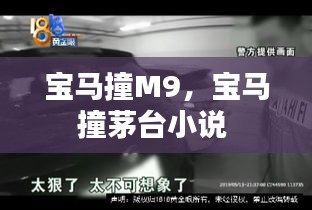 寶馬撞M9，寶馬撞茅臺小說 