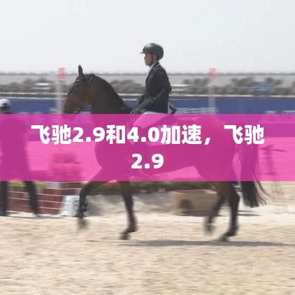 飛馳2.9和4.0加速，飛馳 2.9 