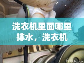 洗衣機里面哪里排水，洗衣機的排水在那邊 