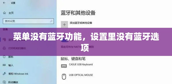 菜單沒有藍(lán)牙功能，設(shè)置里沒有藍(lán)牙選項(xiàng) 