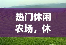 熱門休閑農(nóng)場，休閑農(nóng)場有哪些 