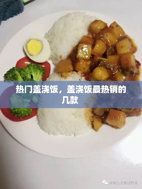 熱門蓋澆飯，蓋澆飯最熱銷的幾款 