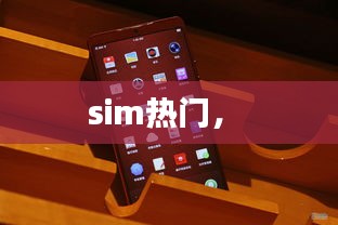 sim熱門， 