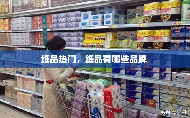 紙品熱門，紙品有哪些品牌 