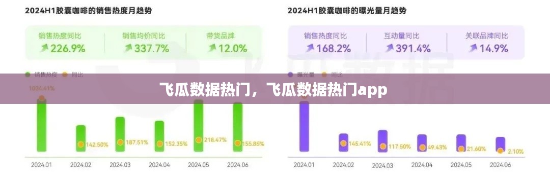 飛瓜數據熱門，飛瓜數據熱門app 