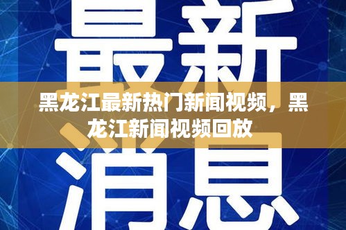 黑龍江最新熱門新聞視頻，黑龍江新聞視頻回放 