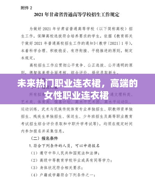 未來熱門職業(yè)連衣裙，高端的女性職業(yè)連衣裙 