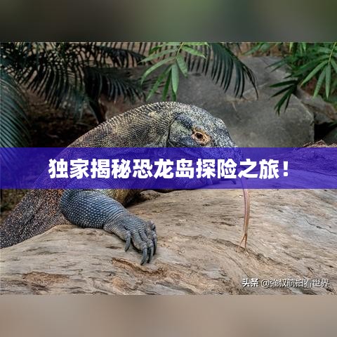 獨(dú)家揭秘恐龍島探險(xiǎn)之旅！