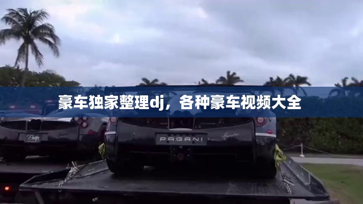 豪車獨(dú)家整理dj，各種豪車視頻大全 